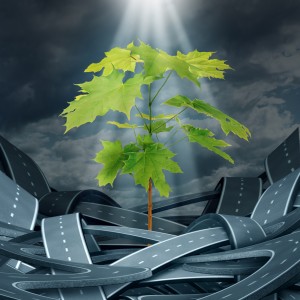 shutterstock_AT-Breaking-in